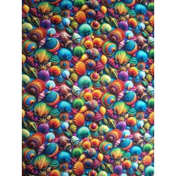 Coquillages flashs