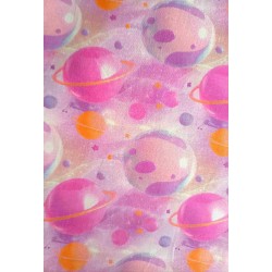 Galaxy rose